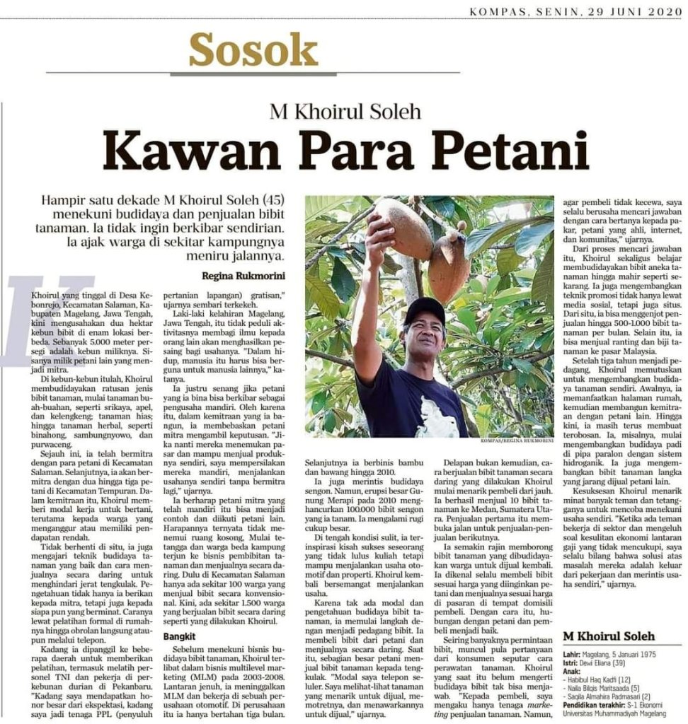 Kompas media